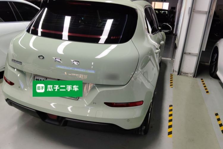 Used ORA Good Cat 2023 401 km Standard Range Luxury Version Lithium Iron Phosphate
