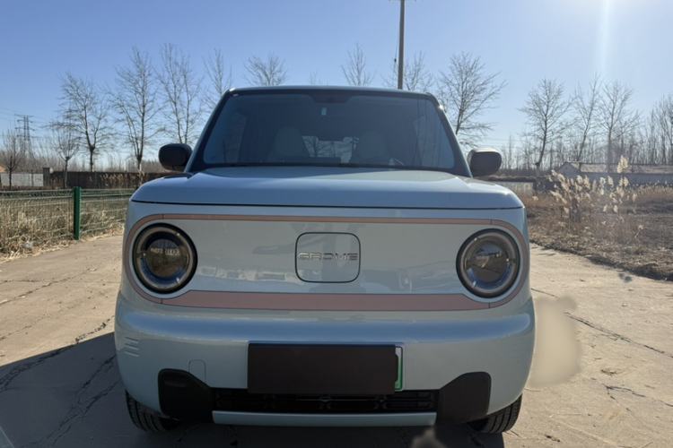 Used  Panda 2024 Panda Mini 200km Endurance Bear
