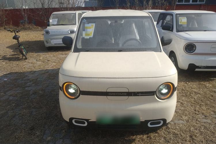 Used  Panda 2025 210 km – Yuanqi Bear
