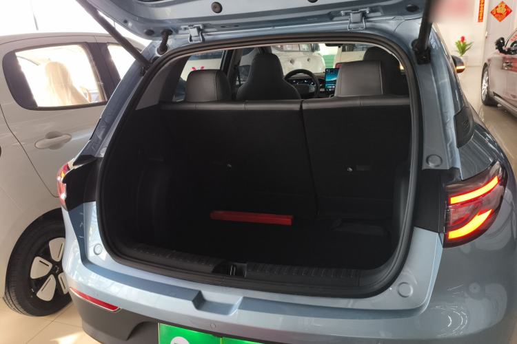 Used  Geome 2025 310km Dream Edition
