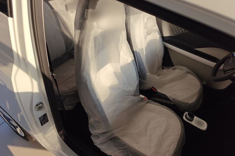 Used  Panda 2025 210 km – Yuanqi Bear