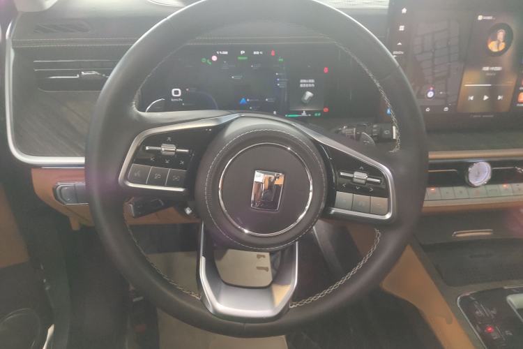 Used Tank 500 2022 3.0T Business Edition "Creation Realm" Design 5-Seater
