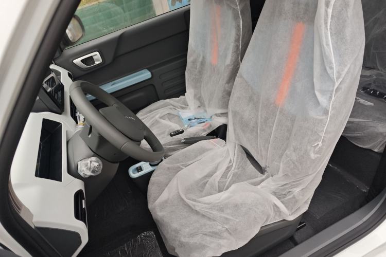 Used  Panda 2024 Panda Mini 200km Endurance Bear