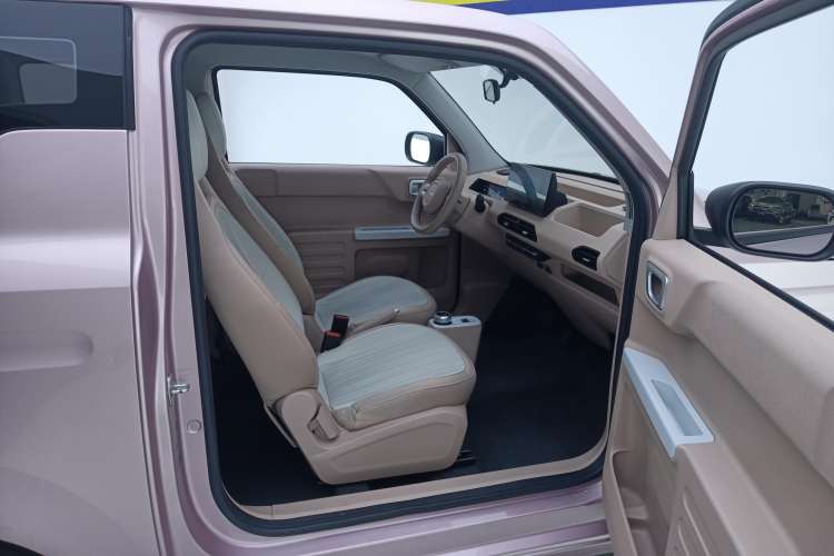 Used  Panda 2023 Panda Mini 200km Endurance Bear
