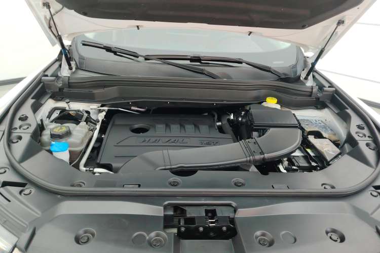 Used Haval H6 2021 National Trend Edition 1.5T Automatic Urban Version
