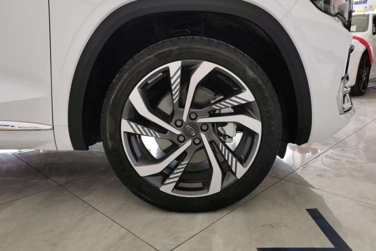 Used Geely Auto Monjaro L 2024 2.0TD High-Power Automatic Two-Wheel Drive Skyline Edition
