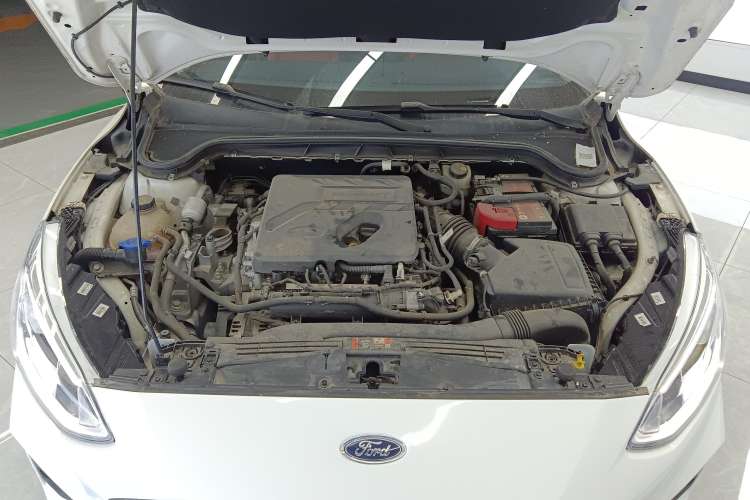 Used Ford Focus 2019 Hatchback EcoBoost 180 Automatic Trendy Model
