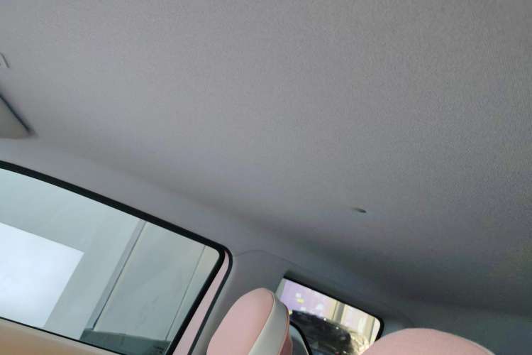 Used  Panda 2023 Panda Mini 200km Endurance Bear
