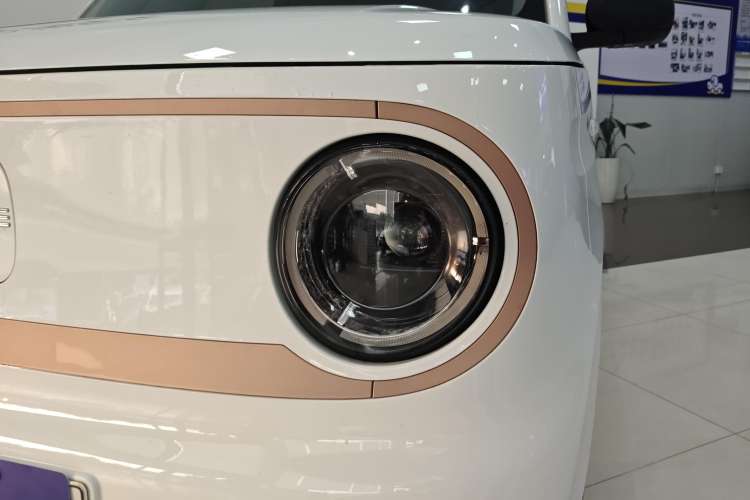 Used  Panda 2024 Panda Mini 200km Endurance Bear
