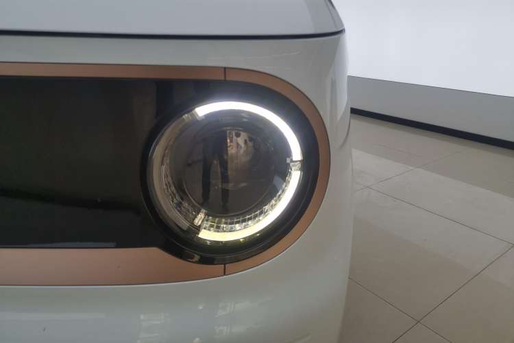 Used  Panda 2023 Panda Mini New Year Edition Treasure Bear
