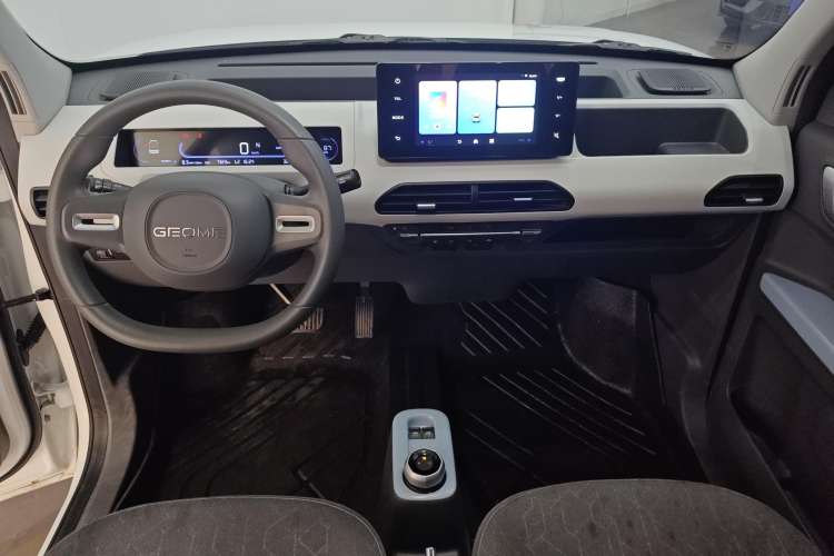 Used  Panda 2024 Panda Mini 200km Endurance Bear
