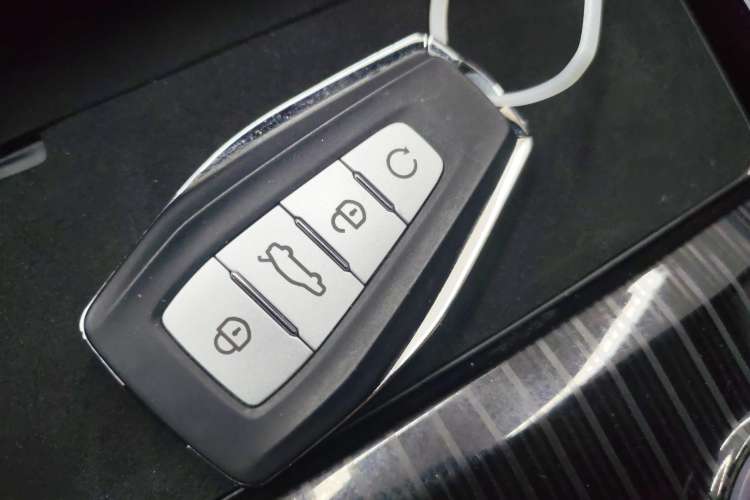 Used Geely Auto Monjaro L 2024 2.0TD High-Power Automatic Two-Wheel Drive Skyline Edition
