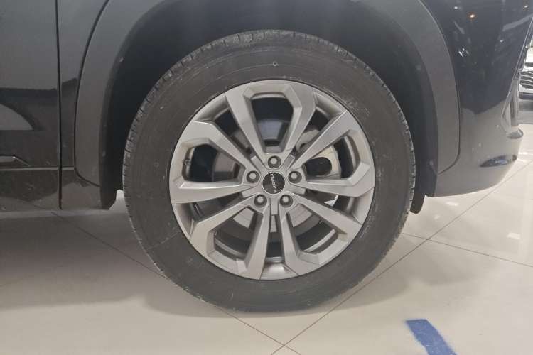 Used  Zhuifeng 2020 Chasing the Waves Edition 1.5T CVT Xingrui Version