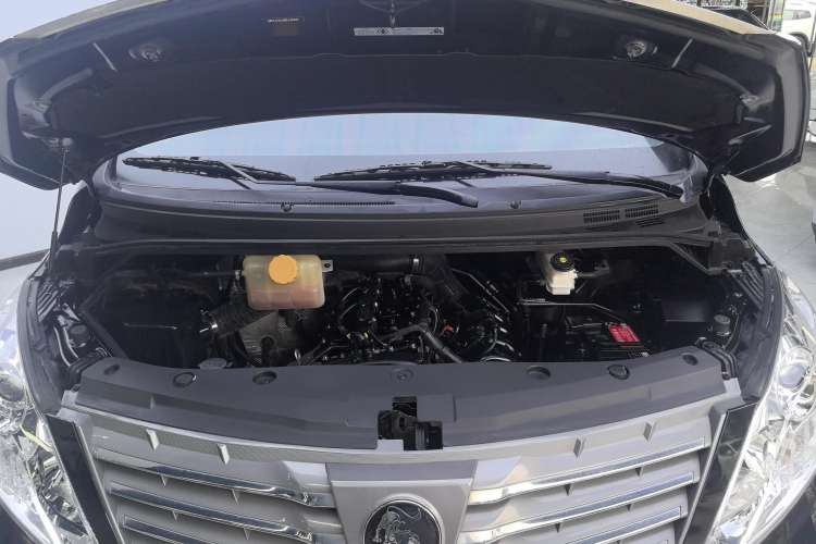 Used FORTHING Lingzhi PLUS 2021 Travel Edition 2.0L Manual Luxury 7-Seater
