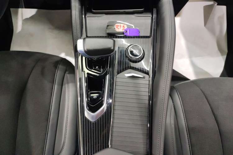 Used Geely Auto Monjaro L 2024 2.0TD High-Power Automatic Two-Wheel Drive Skyline Edition
