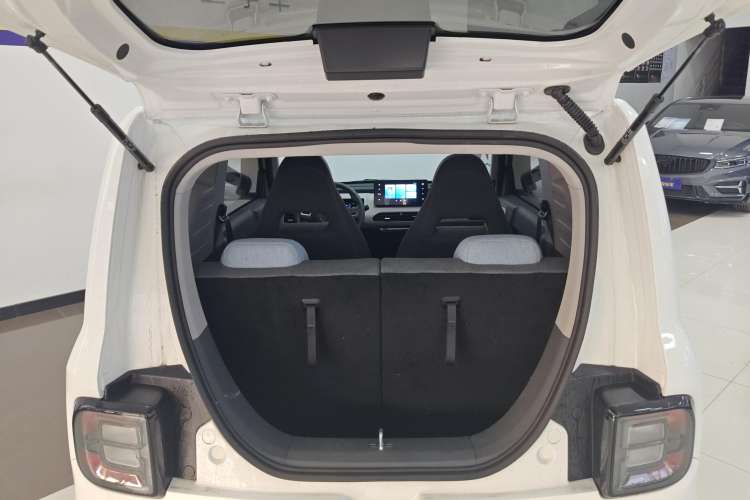 Used  Panda 2024 Panda Mini 200km Endurance Bear
