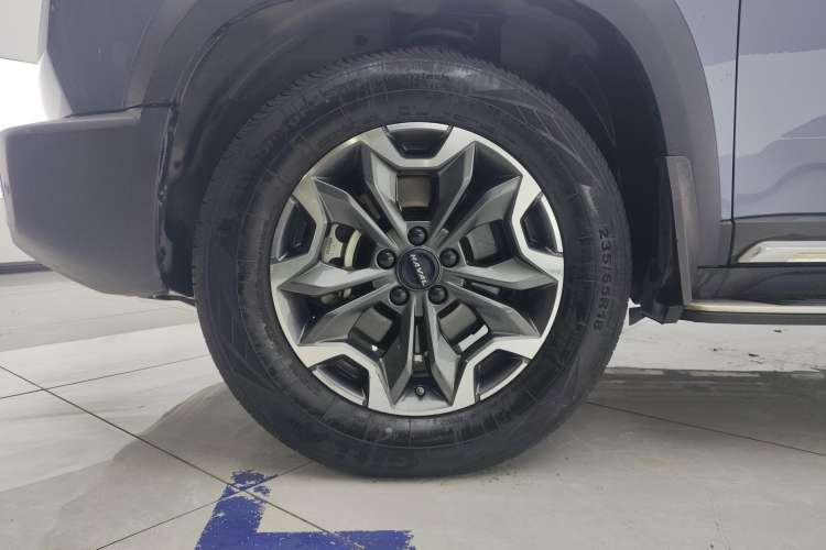 Used Haval DARGO 2021 2.0T DCT 4x4 Chinese Rural Dog Edition
