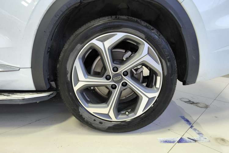 Used Geely Auto Monjaro L 2021 2.0TD DCT EVO Two-Wheel Drive Prestige Version
