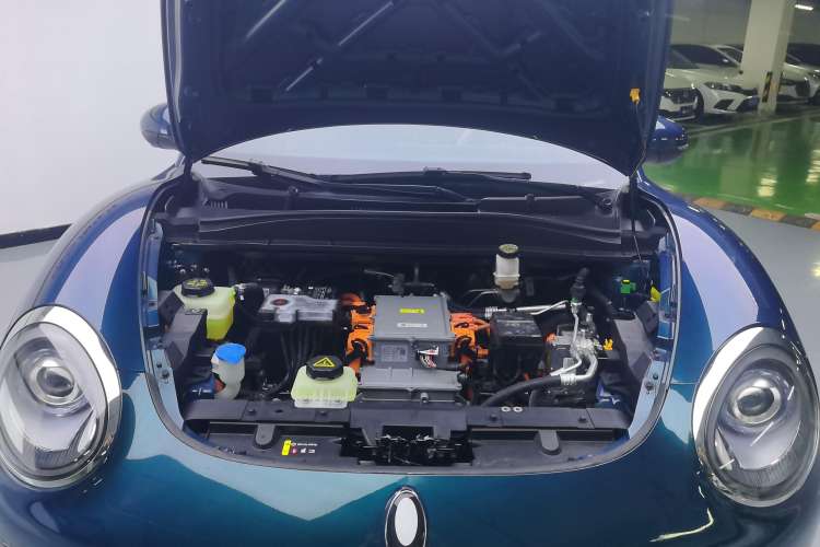 Used ORA Good Cat 2022 Morandi Edition 400km Standard Range Luxury Version Lithium-Ion Battery