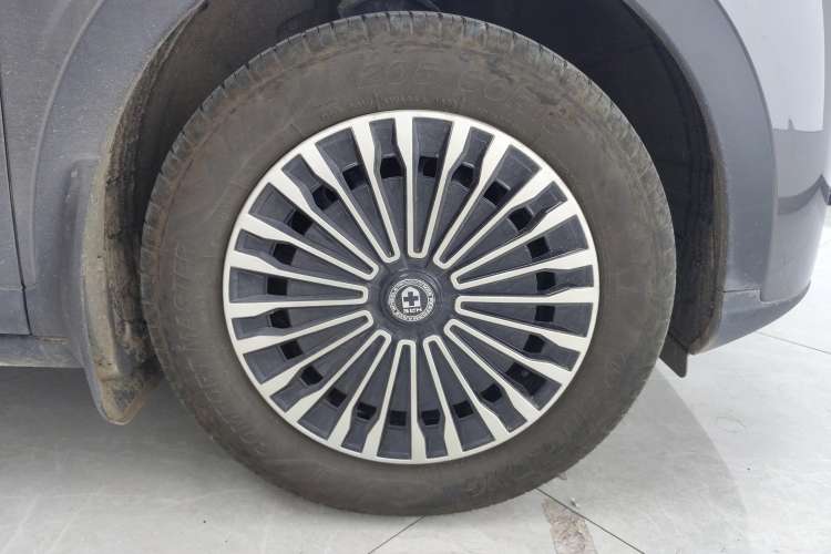 Used  Geome 2025 410 km Free Version
