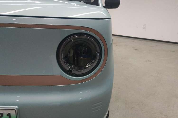 Used  Panda 2024 Panda Mini 200km Endurance Bear
