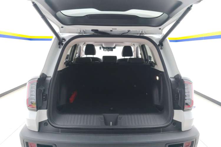 Used Haval DARGO 2024 2.0T DCT Chinese Rural Dog Edition
