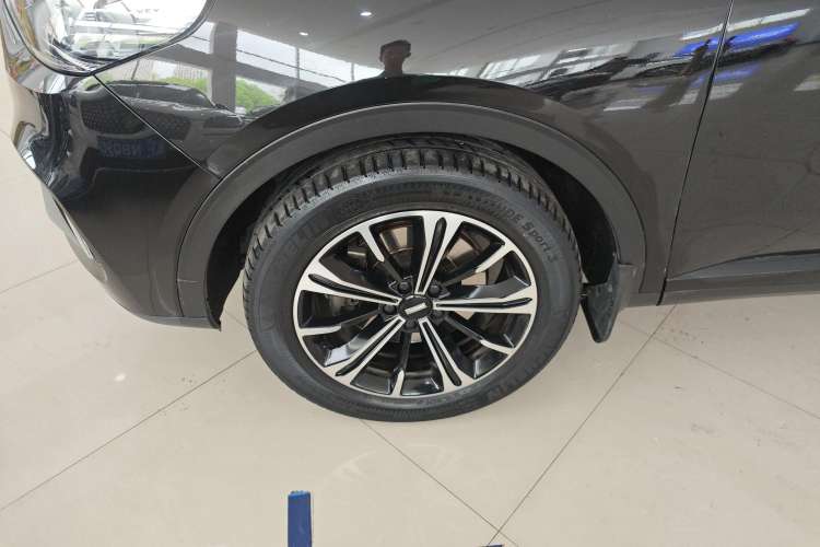 Used Wey VV6 2021 2.0T Two-Wheel Drive Smart Protection+
