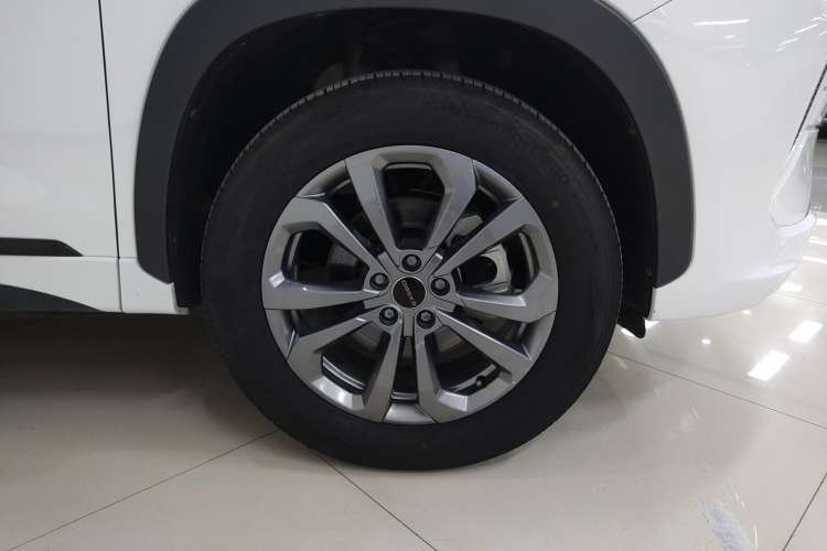 Used  Zhuifeng 2024 1.5T CVT Goodies Peanut Edition
