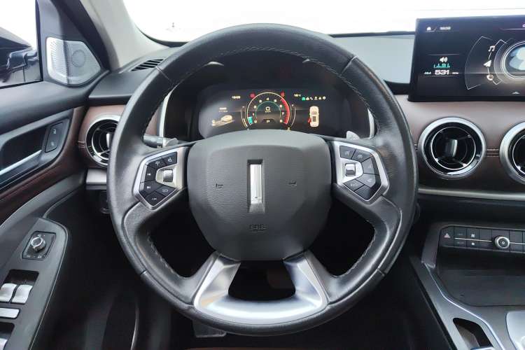 Used Wey VV6 2020 2.0T Two-Wheel Drive Smart Protection+
