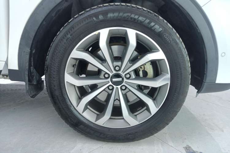 Used Wey VV6 2019 2.0T Two-Wheel-Drive Flagship Version China VI Standard
