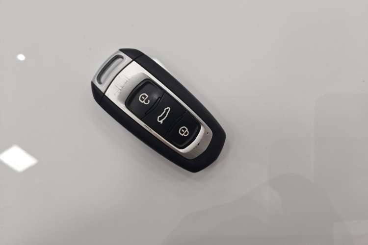 Used  Panda 2024 Panda Mini 200km Endurance Bear
