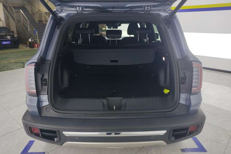 Used Haval DARGO 2021 2.0T DCT 4x4 Chinese Rural Dog Edition
