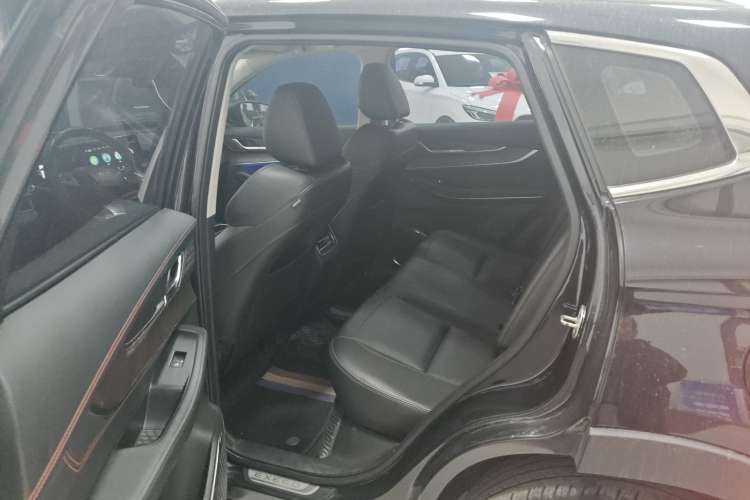 Used  Zhuifeng 2020 Chasing the Waves Edition 1.5T CVT Xingrui Version