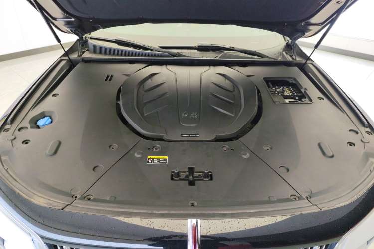 Used Hongqi H9 2020 3.0T Smart Connect Flagship Four-Seat Version
