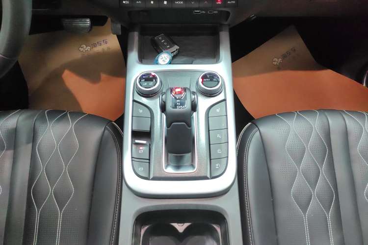 Used Tank 300 2023 City Edition 2.0T My Vision Model