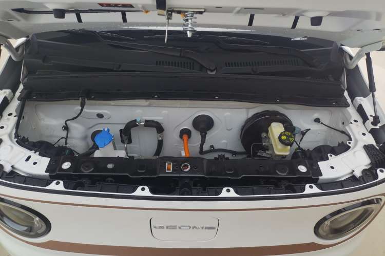 Used  Panda 2024 Panda Mini 200km Endurance Bear
