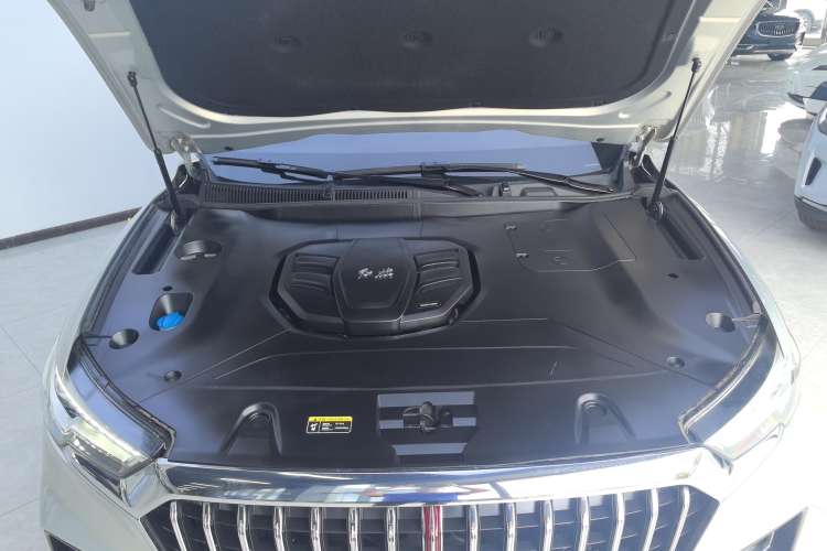 Used Hongqi HS5 2019 2.0T Smart Connect Flagship Edition
