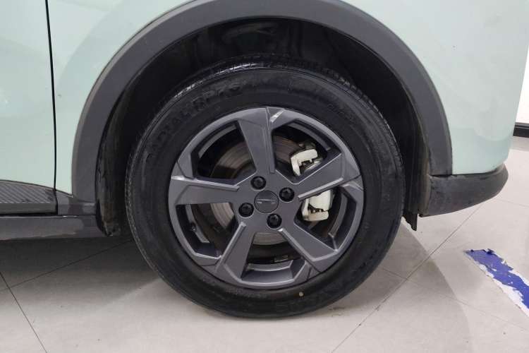 Used Geometry E Firefly 2023 401KM Linglong Tiger 5-Seater
