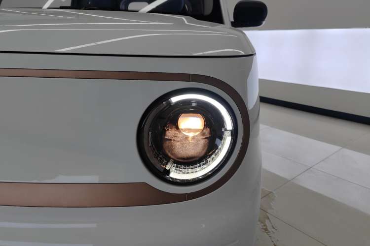 Used  Panda 2023 Panda Mini 200km Endurance Bear
