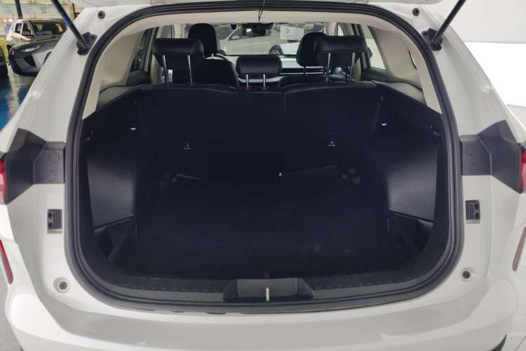 Used Haval H6 2021 3rd Generation 1.5T Automatic Two-Wheel Drive Max
