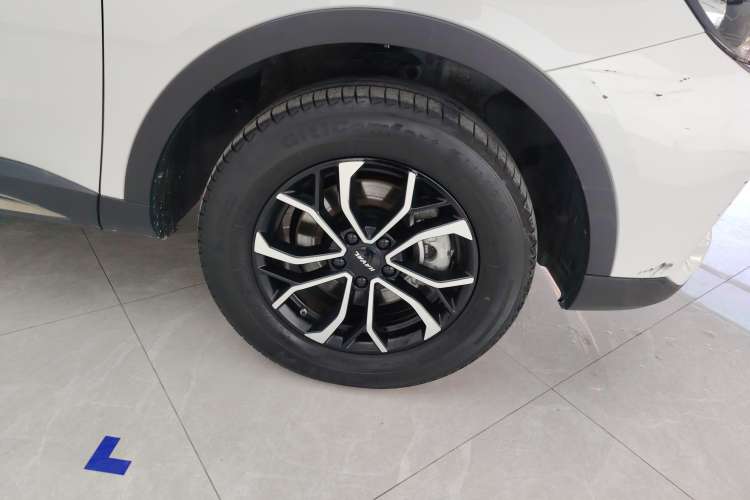 Used Haval H6 2021 National Trend Edition 1.5T Automatic Urban Version
