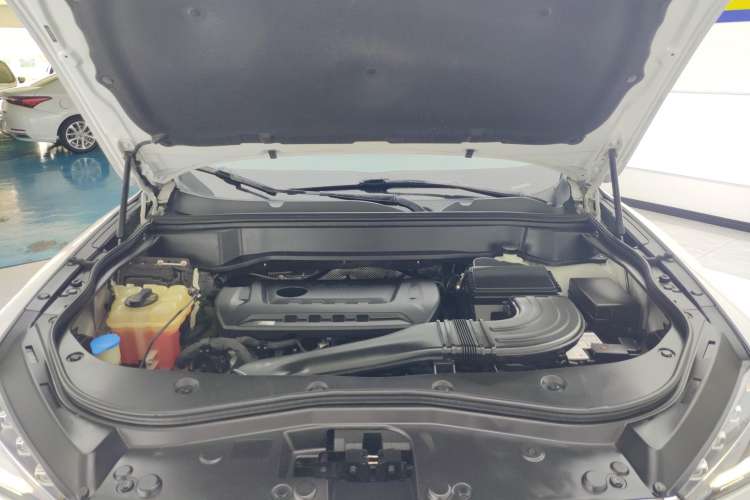 Used Haval F7 2021 2.0T Two-Wheel Drive i-Van
