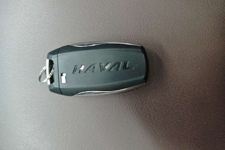 Used Haval H9 2020 2.0T Gasoline 4WD Premium Edition 5 Seats
