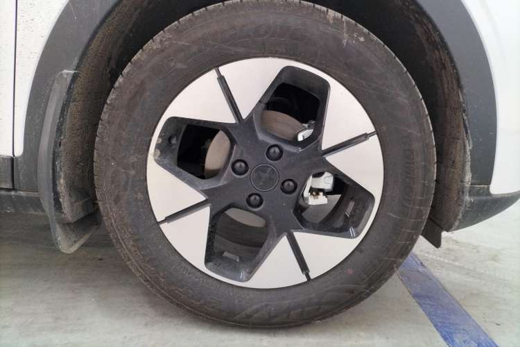 Used  Geome 2025 310km Dream Edition
