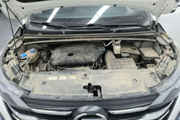 Used GAC Trumpchi M6 2019 270T DCT Luxury Edition (7-seater) China VI
