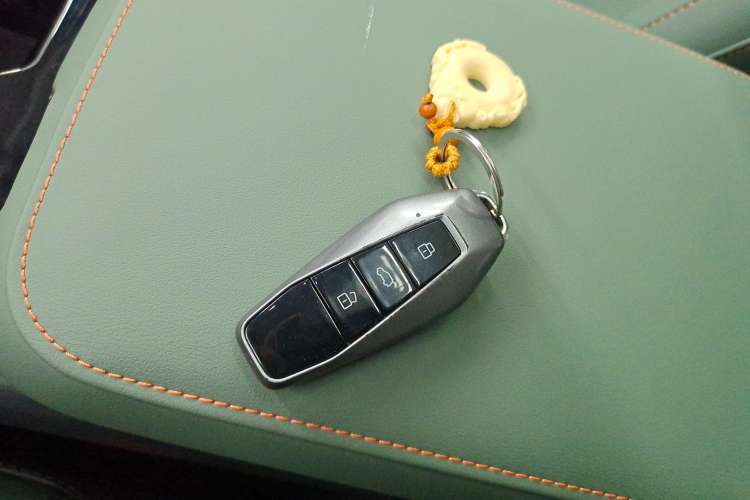 Used  03 2024 501km Four-wheel Drive Long-Range Advanced Version
