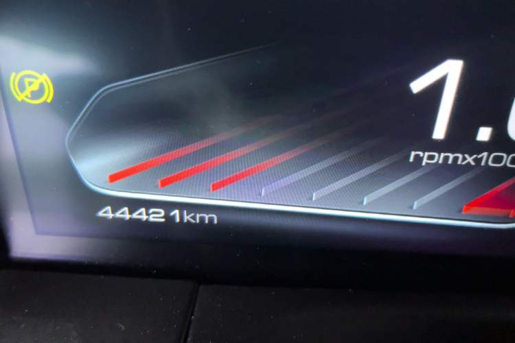 Used Tank 300 2021 2.0T Tank Ranger