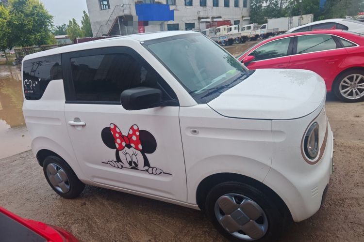 Used  Panda 2023 Panda Mini 120km Cute Bear
