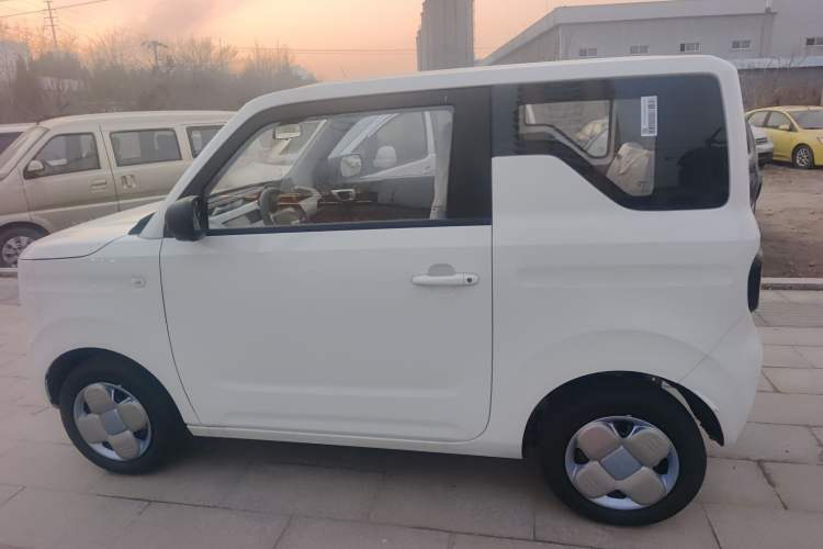 Used  Panda 2024 Panda Mini 200km Endurance Bear