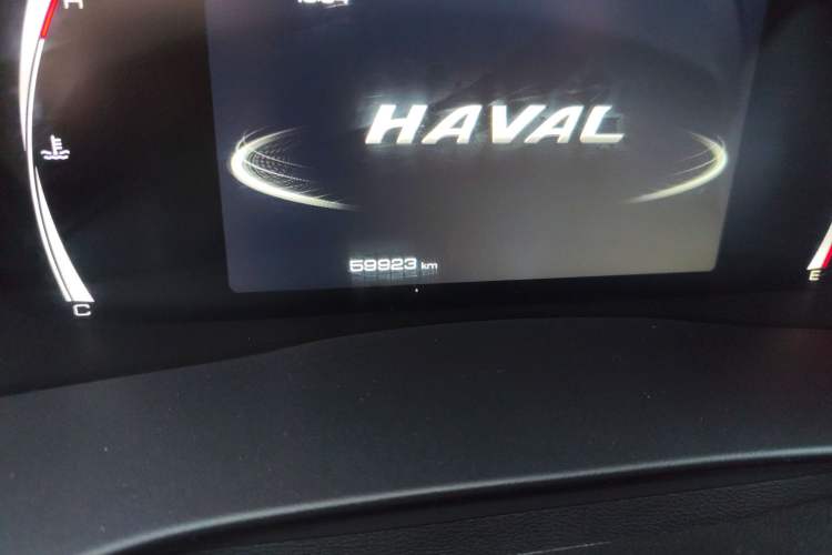 Used Haval H6 2021 National Trend Edition 1.5T Automatic Champion Version
